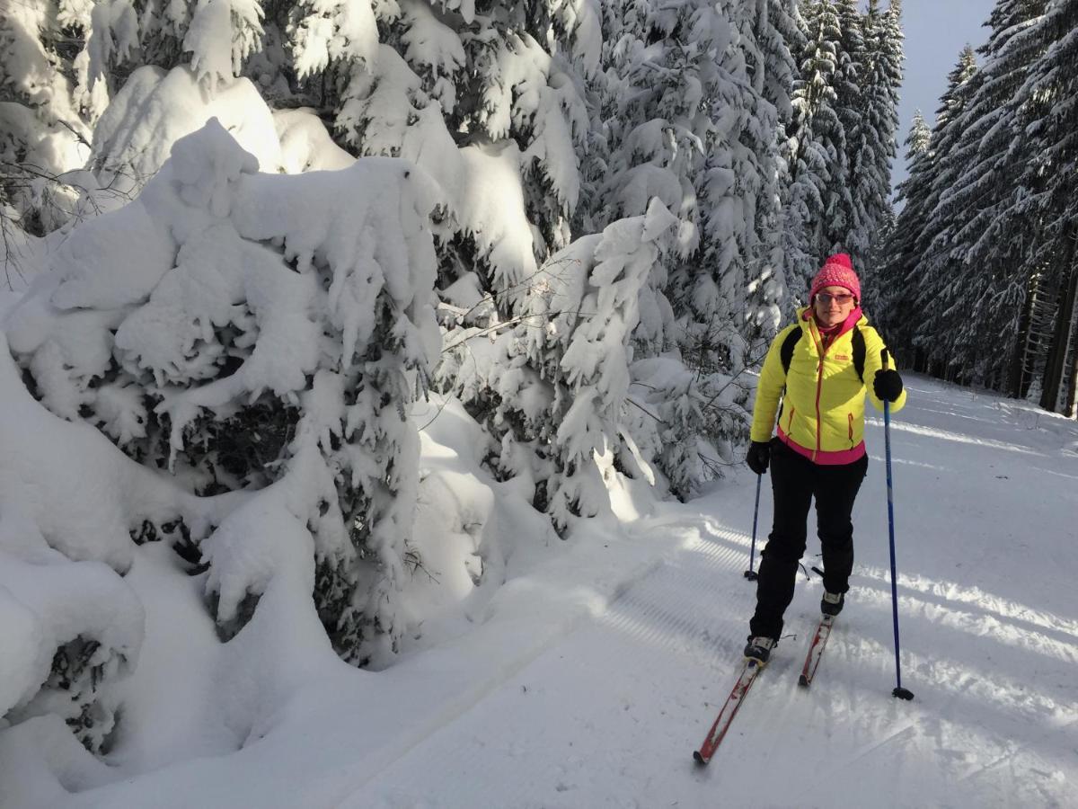 Rekreacni Domek Kobylnice Lipno Lipno nad Vltavou Exterior foto
